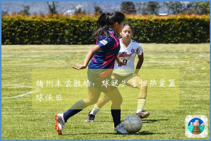 梅州未尝胜绩，球迷失落但热爱篮球依旧
