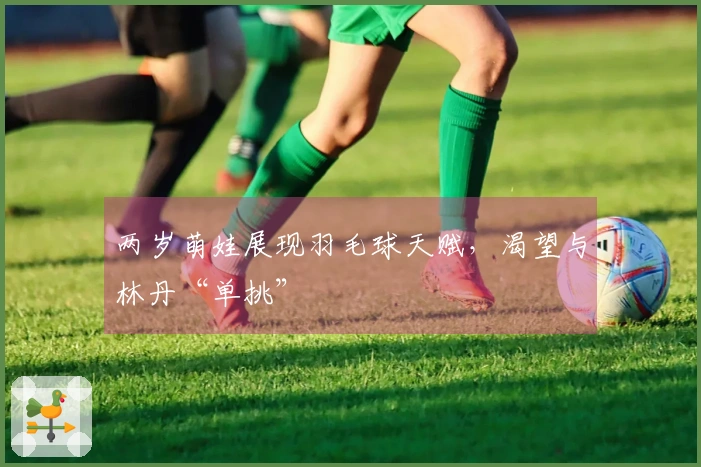 两岁萌娃展现羽毛球天赋，渴望与林丹“单挑”