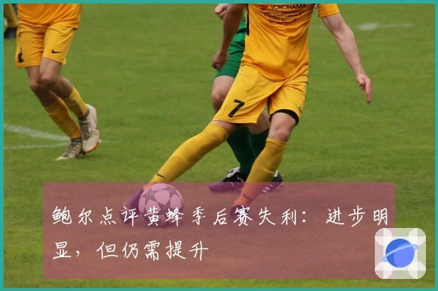 鲍尔点评黄蜂季后赛失利：进步明显，但仍需提升