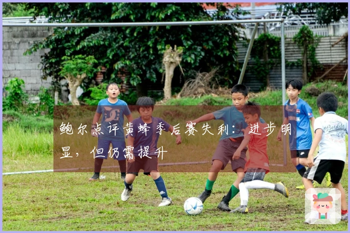 鲍尔点评黄蜂季后赛失利：进步明显，但仍需提升