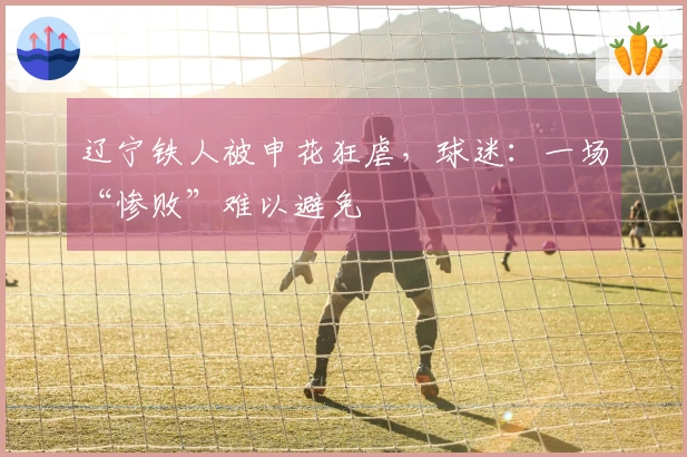 辽宁铁人被申花狂虐，球迷：一场“惨败”难以避免