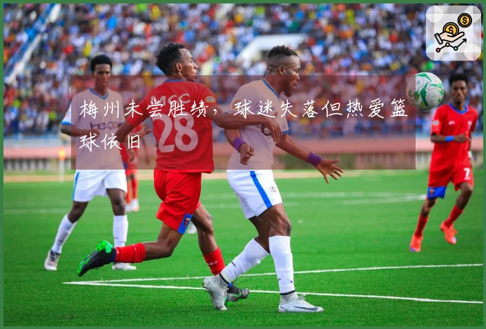 梅州未尝胜绩，球迷失落但热爱篮球依旧
